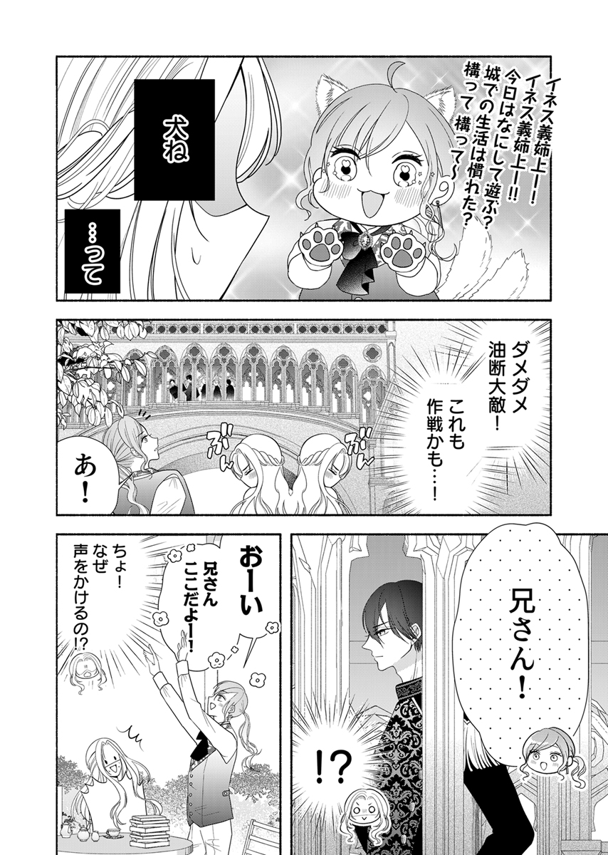 冷酷皇帝と小国王女の白い結婚～溺愛不要のため黒猫と静かに暮らしたい～