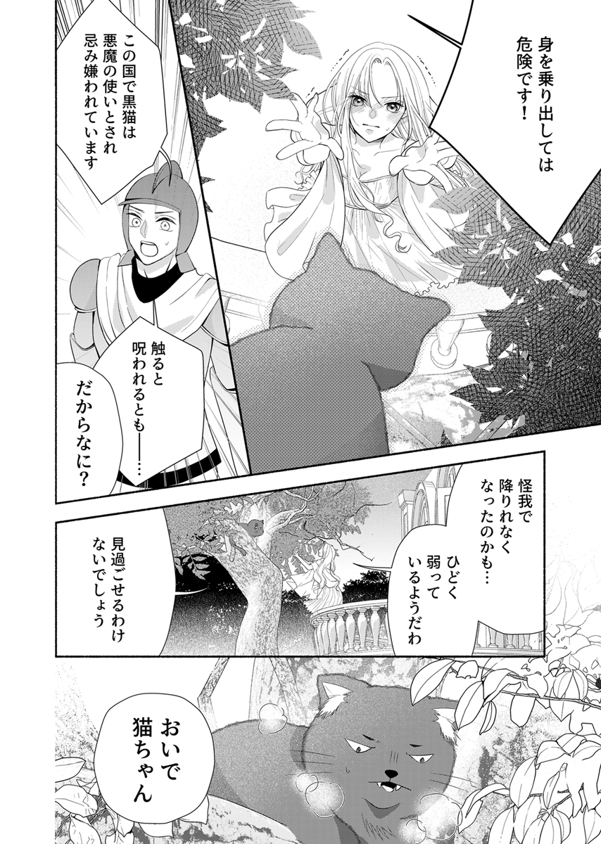 冷酷皇帝と小国王女の白い結婚～溺愛不要のため黒猫と静かに暮らしたい～