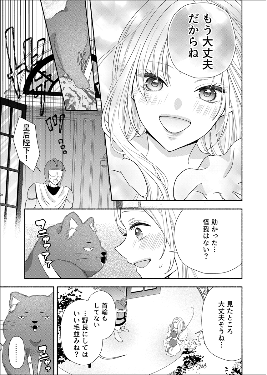 冷酷皇帝と小国王女の白い結婚～溺愛不要のため黒猫と静かに暮らしたい～