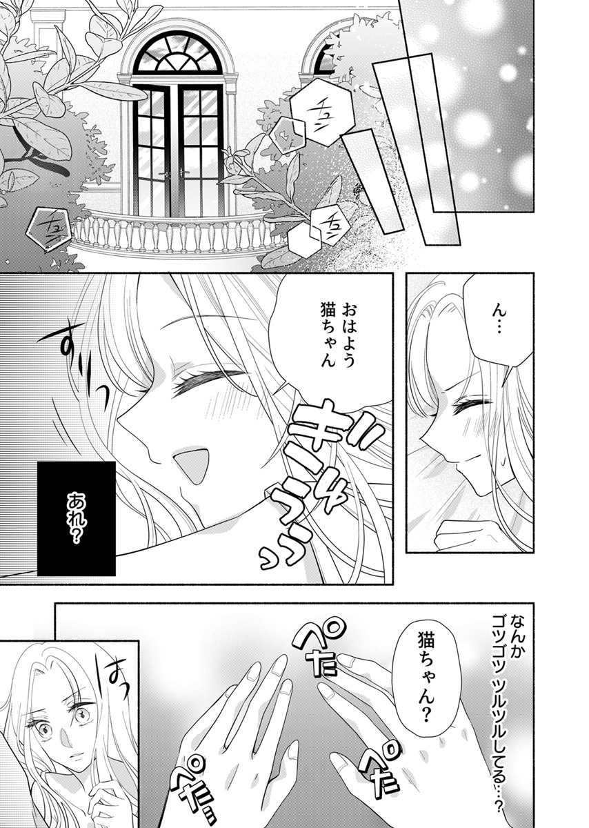 冷酷皇帝と小国王女の白い結婚～溺愛不要のため黒猫と静かに暮らしたい～